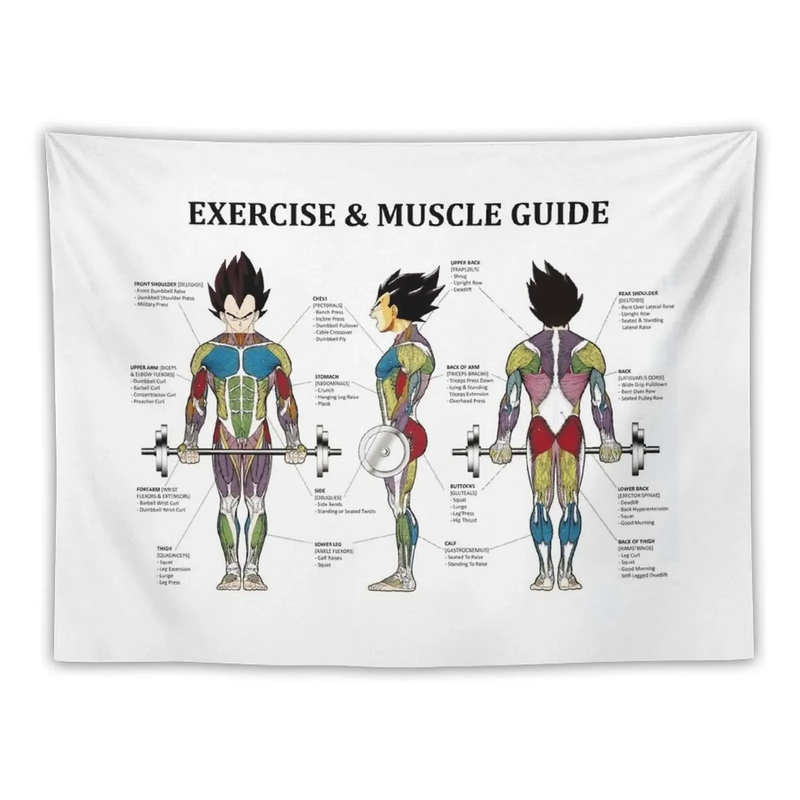 Anatomy Chart - Muscle Diagram - Anime Workout Inspirational Tapestry Decor For Bedroom Aesthetic Decoration Funny Tapestry