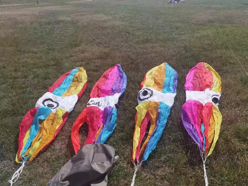 Cometas de calamar con colgante de 300cm, cometas hinchables de peces voladores, cometas suaves, cortavientos, cometa profesional, caballete de coche, envío gratis