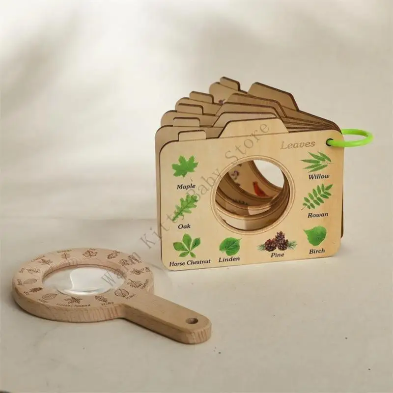 Ensemble d'observation de la Nature pour enfants, loupe, plantes et animaux en bois, cartes de guidage illustrées pour enfants, jouets d'exploration en plein air