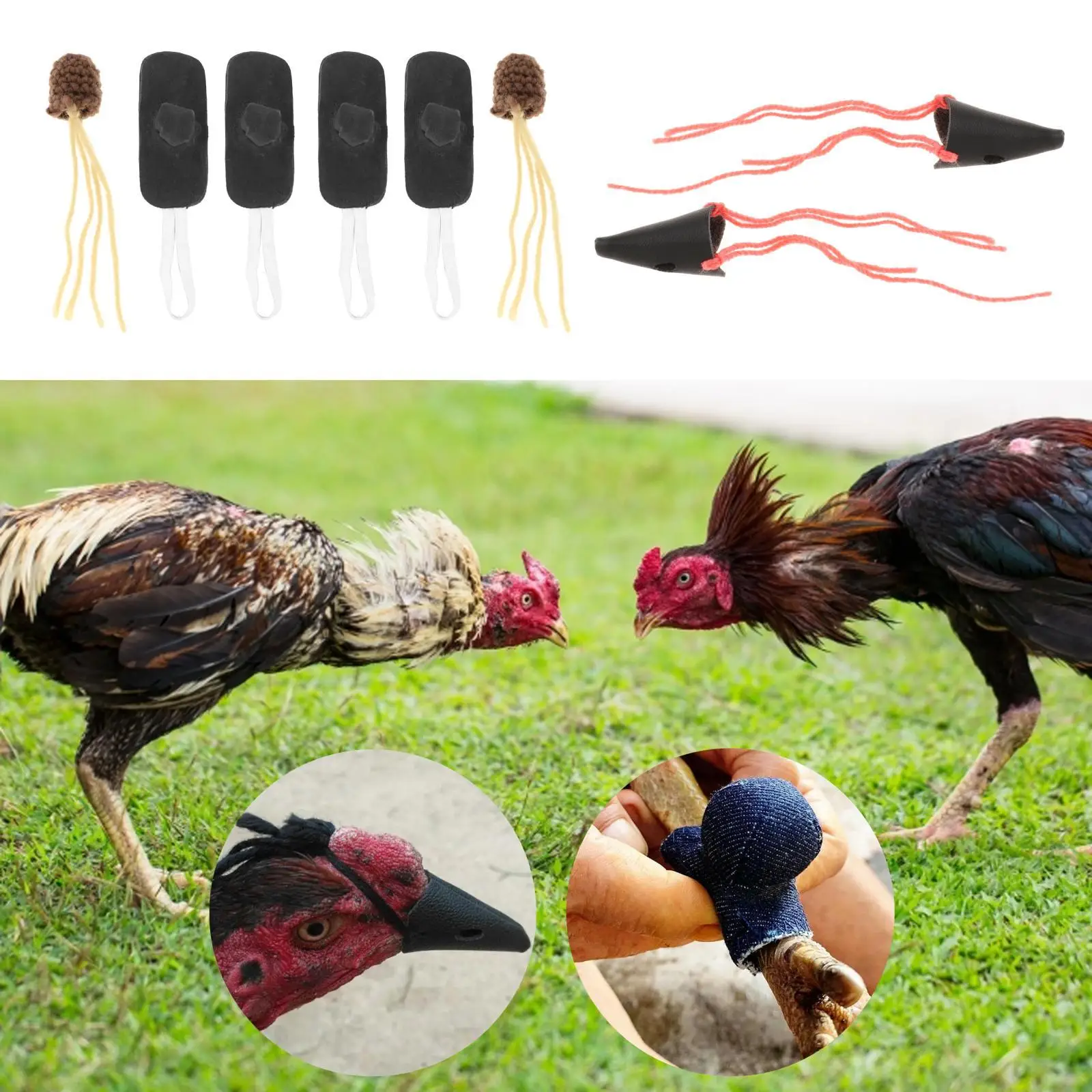 fighting  Gamefowl Fighting Accessories Wrestling Farm Equipment  Supplies Poultry Animals  Fighting