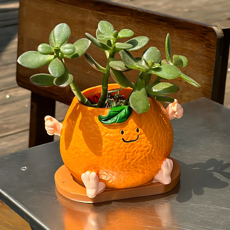 الإبداعية لطيف الوجه المبتسم البرتقالي الجلوس الموقف زهور عصارية في الهواء الطلق حديقة فناء زهرة بوعاء الديكور