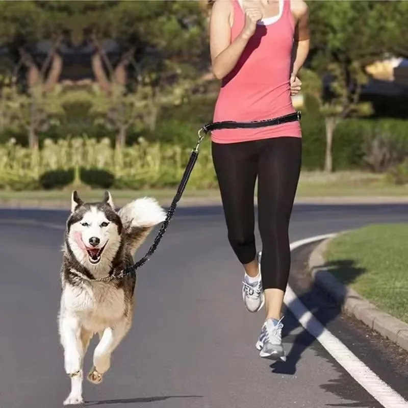 Freihändige Hundeleine für Spaziergänge, Laufen und Joggen, Verstellbare Hundeleine mit Hüftgurt, Brustgurt und Zugseil, Hundezubehör – Detail 1