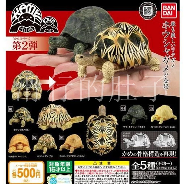 

Gashapon Simulation Turtle Series Vol.2 - Movable Animal Model Kit, Build & Display, Educational DIY Figure
