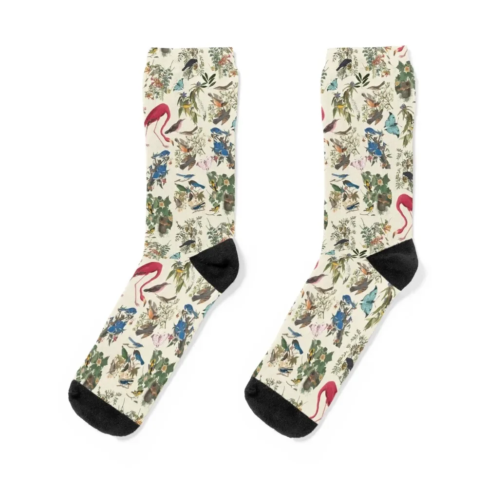 Birds of John James Audubon Socks fashionable warm winter halloween Socks Female Men's