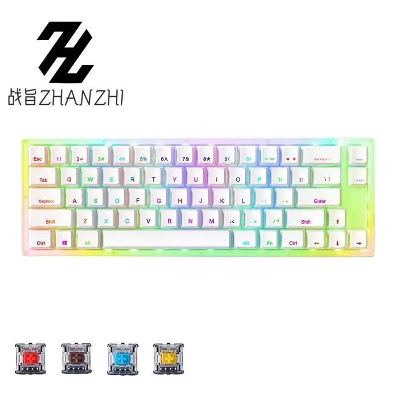 Womier K66 Gamer Mechanical Keyboard Hot Swappable Gaming Keyboard Tyce-c Wired RGB Backlit Gateron Switch for PC Laptop