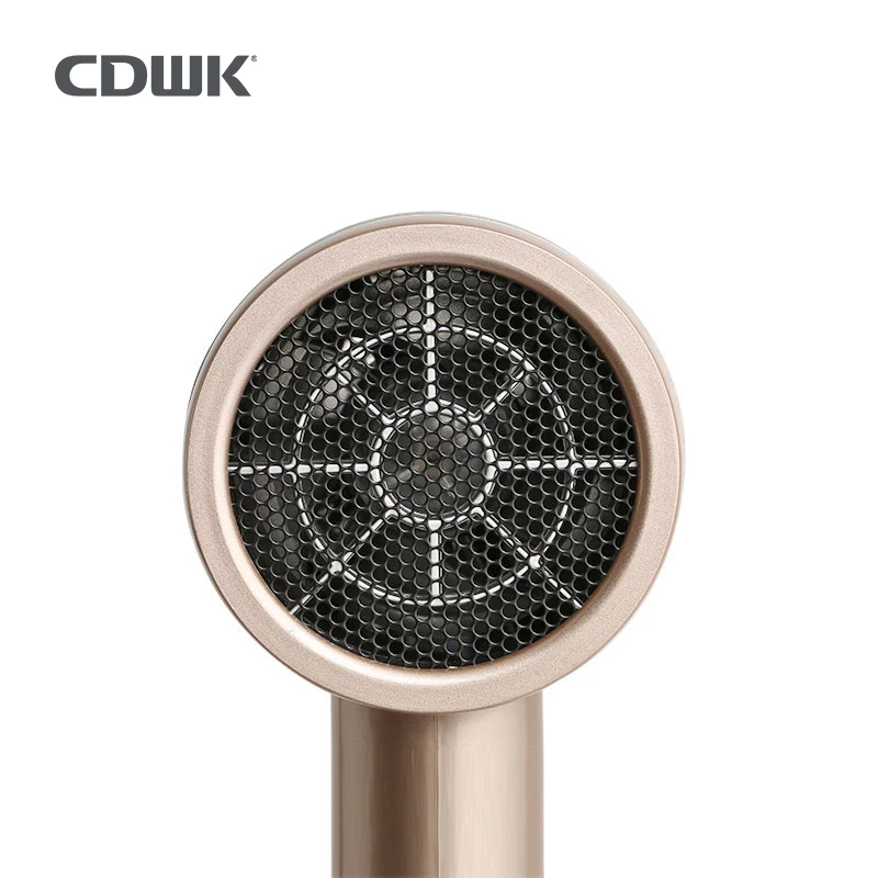 CDWK 고품질 1800W 신형 벽걸이 DC 모터 이온 헤어 드라이어 전문가용 살롱