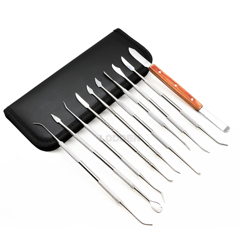 10Pcs 1 Set Lodden Wax Knife Dental Lab Tool Teeth Dentist Tools Spatula Plaster Wax Carving Dentistry Instrument Product