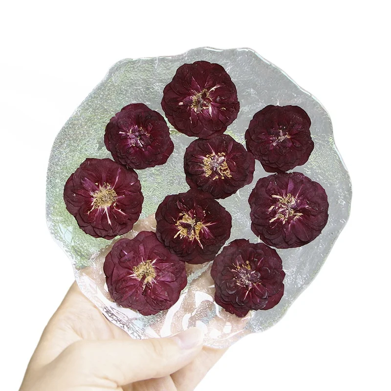 자연 보라색 붉은 장미 머리, 눌러 말린 꽃, DIY 페이스 메이크업 드롭 접착제, 테이블 램프 북마크, 전화 케이스 장식, 2.5-4cm, 12 개