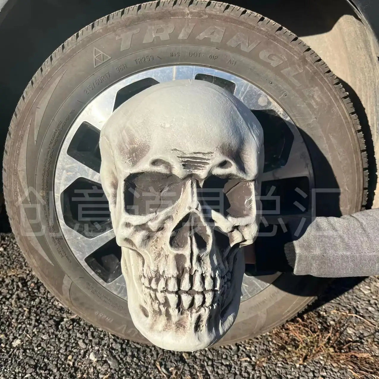 

Halloween Chamber Horror Large Skull Props Haunted House King Skull Bar Decorations Tricky