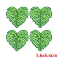PE17062CT