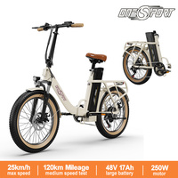 ONESPORT OT16-2 Folding Electric Bike 250W Motor 48V 17Ah Battery Bluetooth LCD Display 25km/h Max Speed 100kg Load