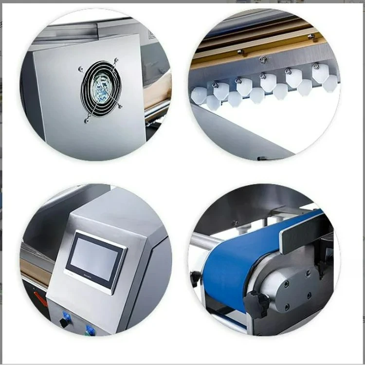 Factory Direct 2026 Top Rated Mousse cake grouting machine, cup cake plate  grouting machine, chicken  filling and forming