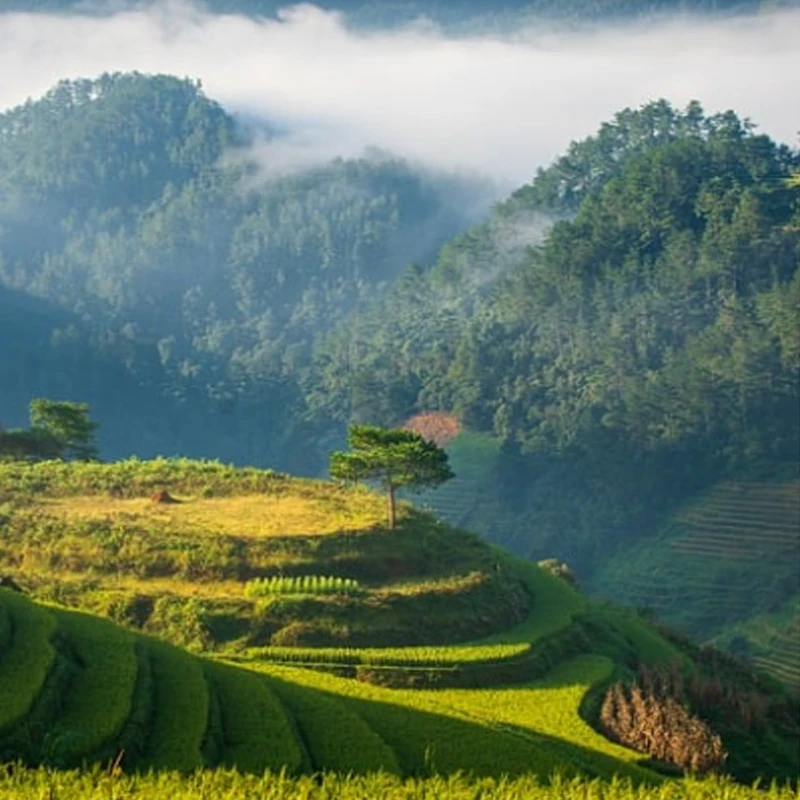 Emax Ez Pilot Indoo… - image