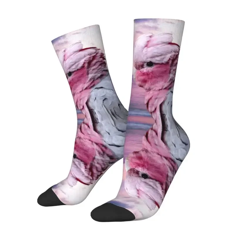 

Носки типа какаду попугай, мужские и женские теплые модные новые короткие носки с птицами