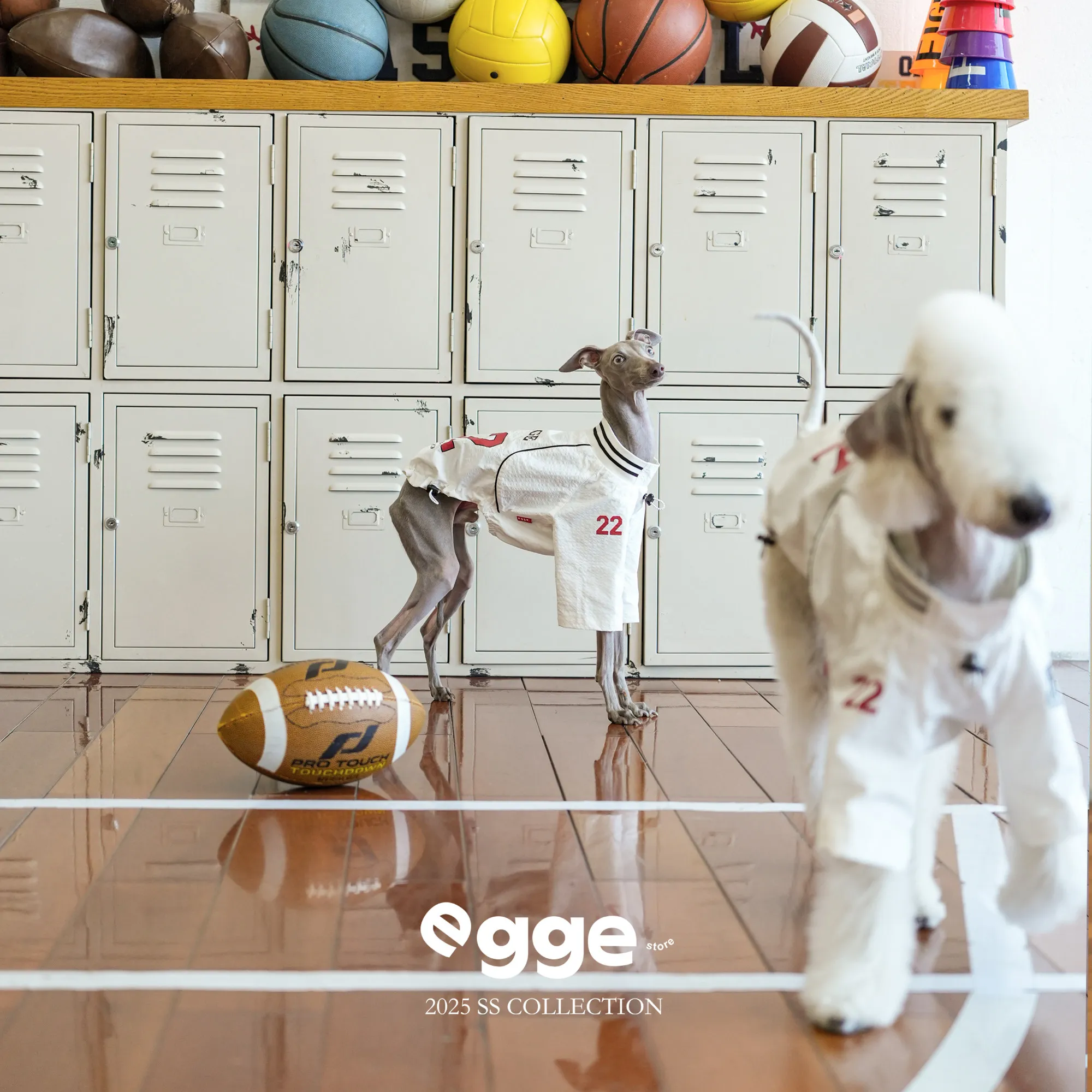 EGGE Vintage Sports Jersey for Italian Greyhound Grey White Lightweight Two-Legged Top T-shirt for Whippet Dogs in Spring Summer