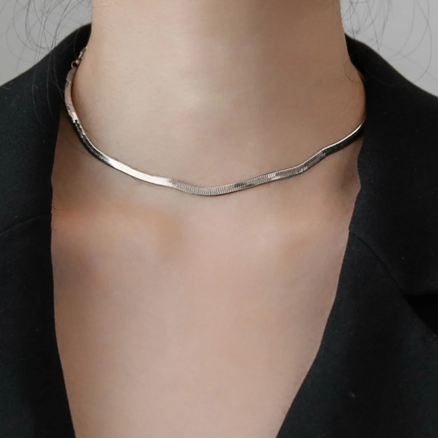 Euro-american Style Minimalist Snake Bone Necklace Women's Steel Collarbone Chain Fashion Accessory Luxury Designer Jewelry