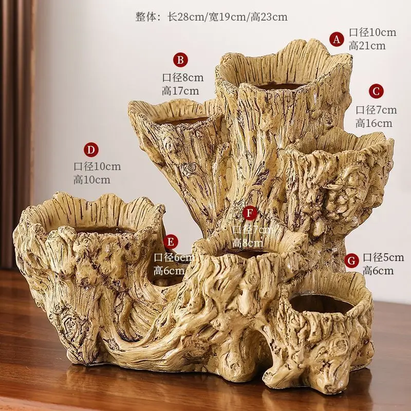 Porowate korzenie drzew, imitacja drewna pnie i sukulenty doniczki z kreatywnym, nieregularnym, wielowarstwowym nieceramicznym wzorem
