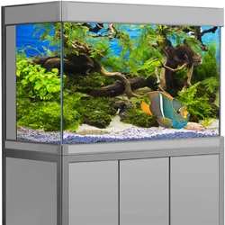 Aquarium Background Sticker Background Poster  Plant Fish Tank Decoration Self Adhesive  Wallpaper 3d Background