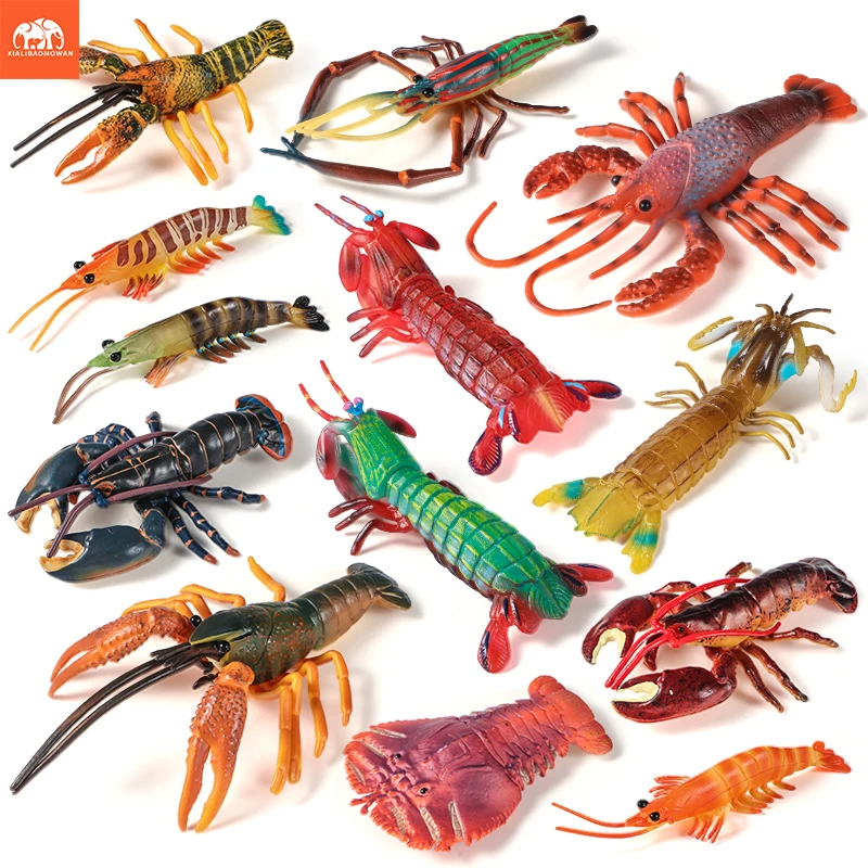 Sea Life Animals Boston Lobste - Marine Life Aquariums ulasan dan harga