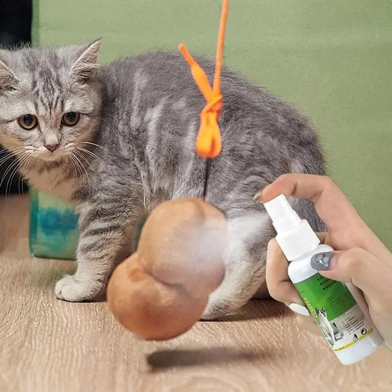 Spray de hierba gatera para gatos, ingredientes saludables para gatitos, gatos y atrayentes, fácil de usar y seguro para mascotas, suministros para mascotas, 50ml