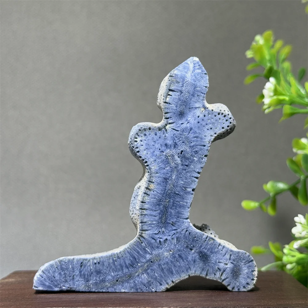 

Natural And Beautiful Blue Coral Mineral Specimen Energy Wealth Crystal Home Fashion Decoration Unique And Precious Gift