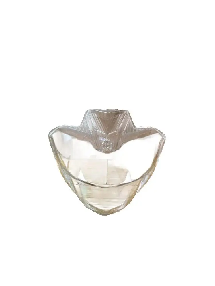 For Yamaha FZ25 Motorcycle Front Headlight Glass
