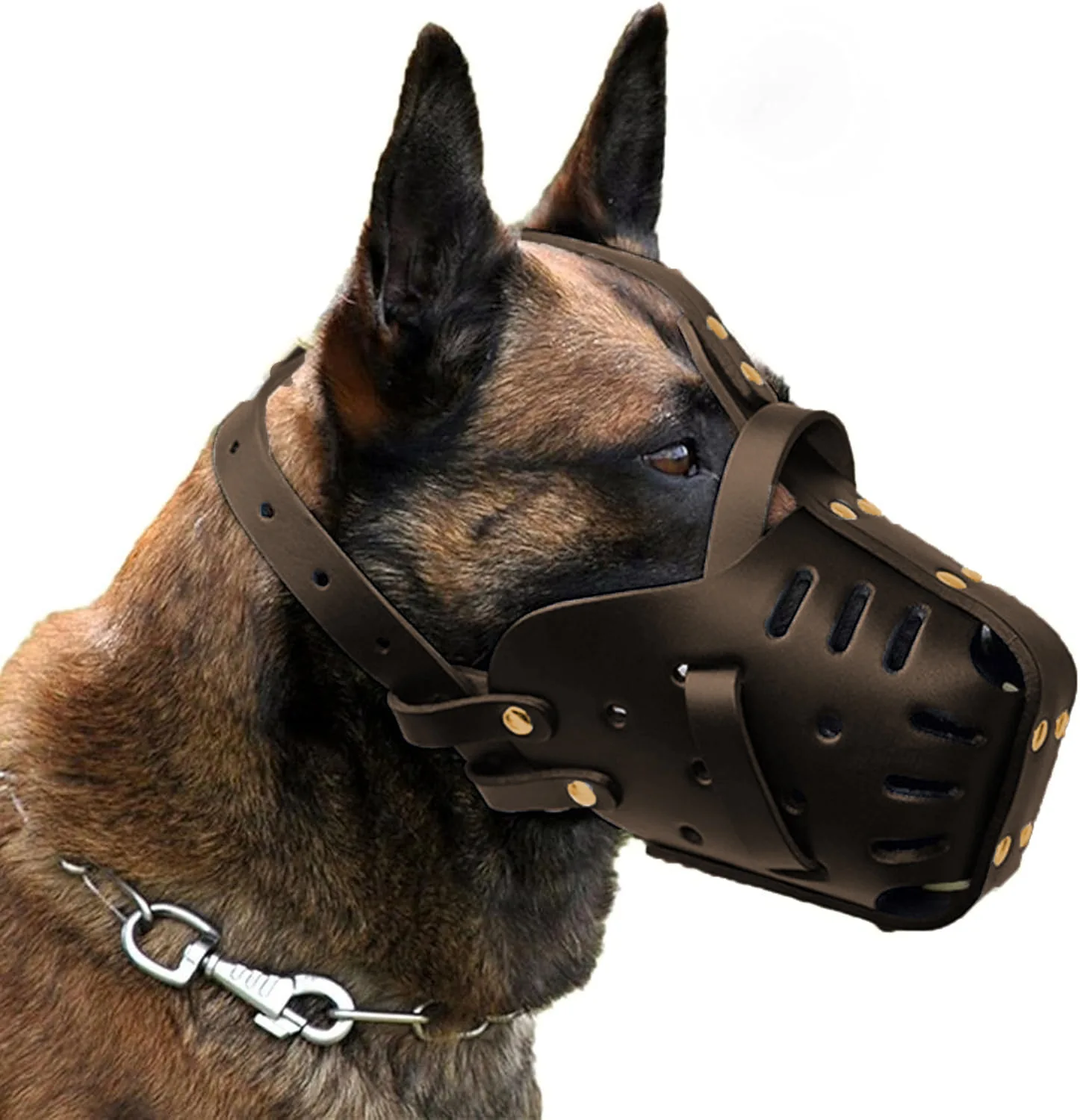 #6 Pet Muzzles Comparison Guide