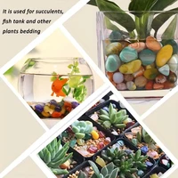 Natural Stone Tumbled Agate Gravel Crystals Chip Quartz Minerals Reiki Healing Specimen Gemstones Home Aquarium Decor DIY Crafts 3