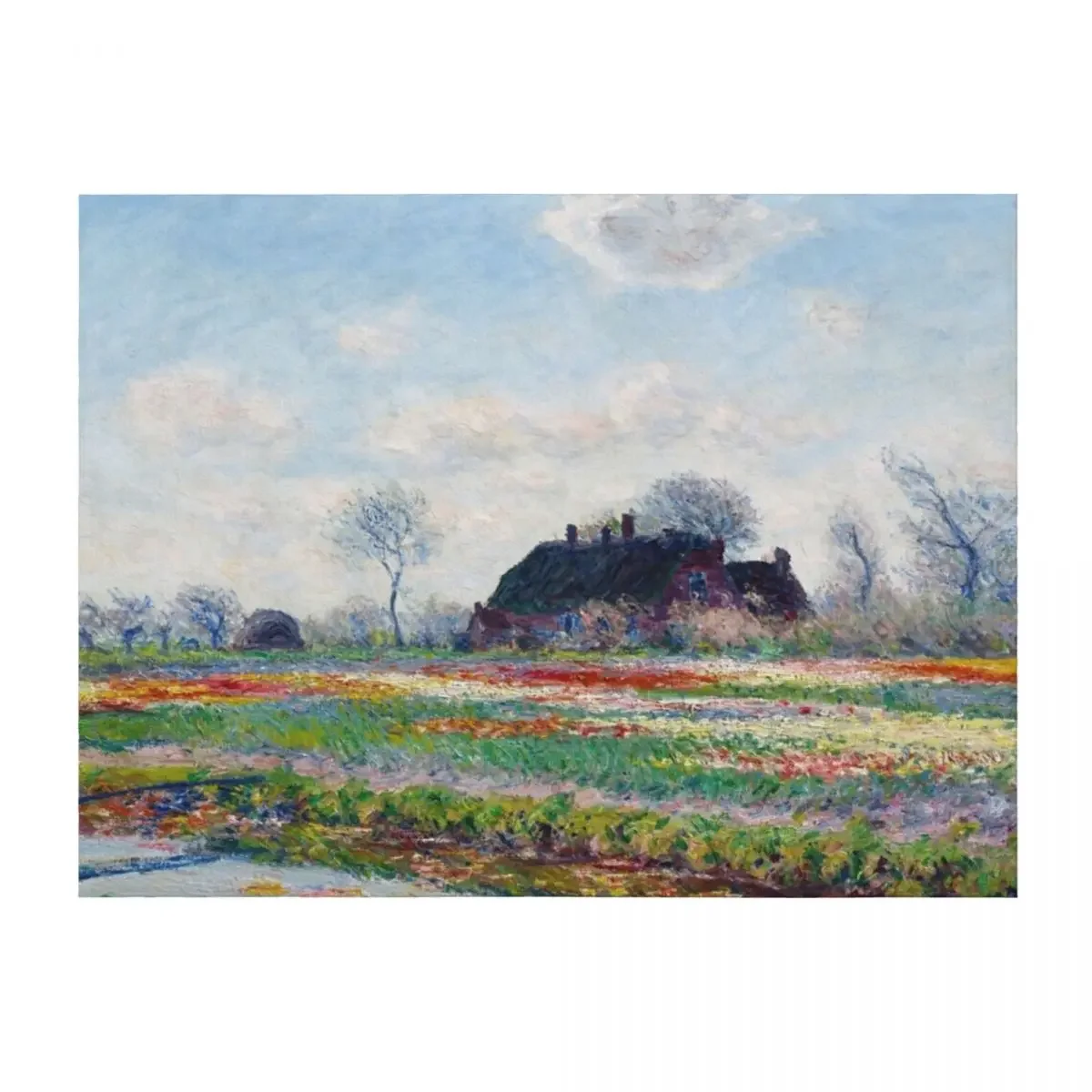 

Tulip Fields at Sassenheim Throw Blanket Soft Beds Luxury Brand Bed covers Cute Blankets