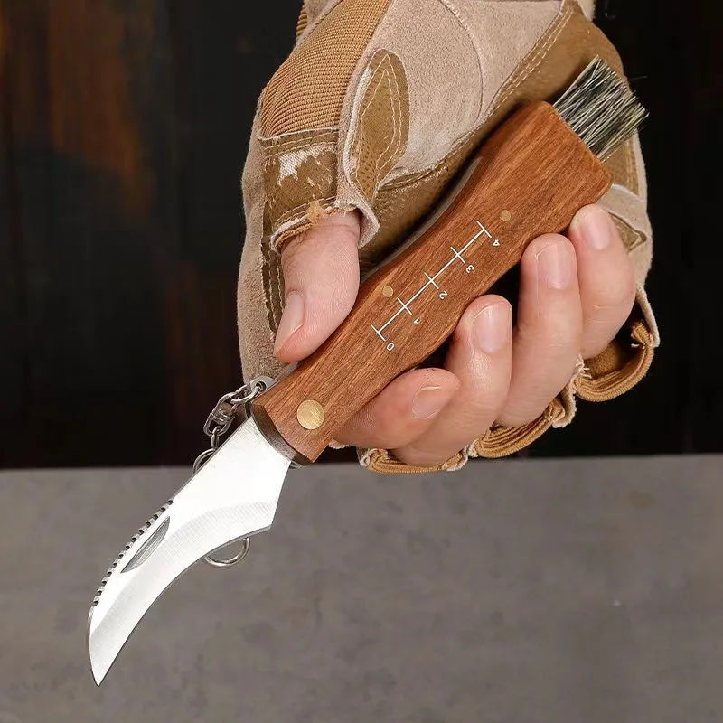 Outdoor multifunctional stainless steel folding knife, mini mushroom knife EDC, sharp wooden handle, hunting and survival knife