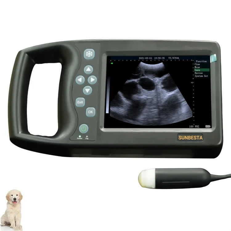 

M6 5.7Inches Portable Animal Ultrasound Machine With Mechanical Probe Pregnancy Ultrasound Scanner