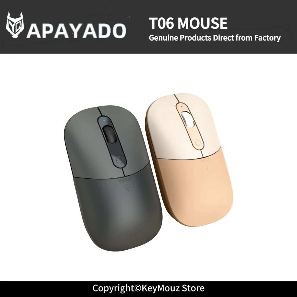 T06 2.4G Wireless Mouse Slim Silent 1600 DPI Lightweight 52g Travel Mouse for Office Work