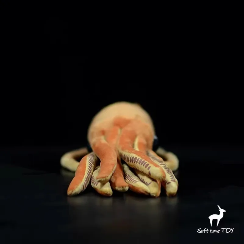 ZWY brand original king squid doll simulation cuttlefish doll plush toy gift