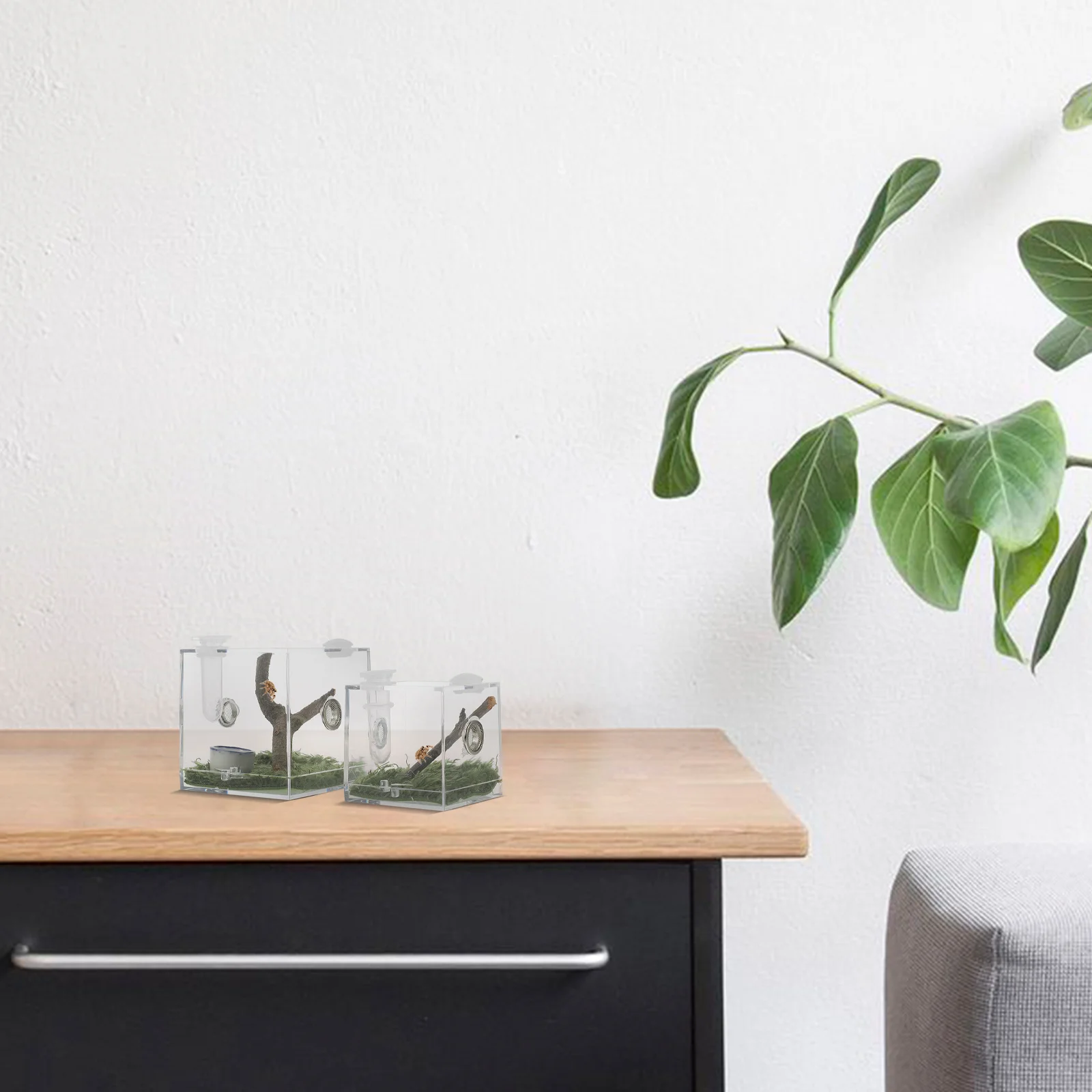 

2Pcs Clear Acrylic Spider Enclosure Box Lightweight Jumping Spider Habitat Breeding Case Pet Feeding Container