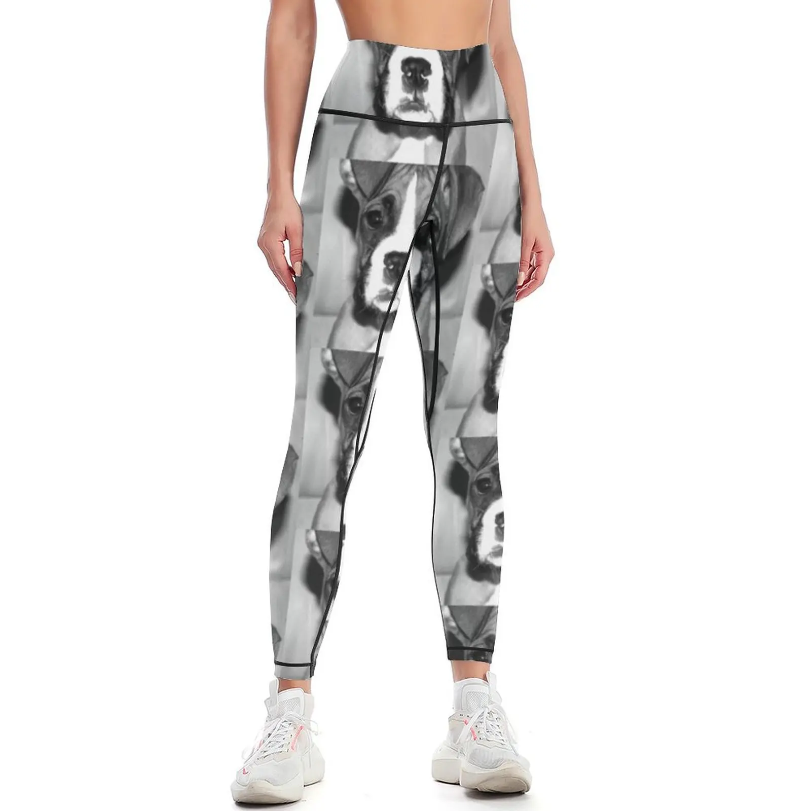 

Boxer puppy Leggings Jogger pants Clothing fitness sport legging Fitness woman Womens Leggings