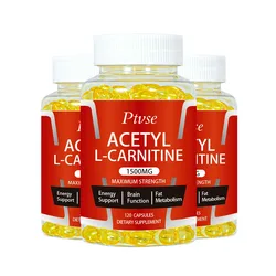 Acetyl L-Carnitine Capsule Supports Memory Focus Increase Body Performance Metabolic Energy Fitness Exercise Dietary Supplement