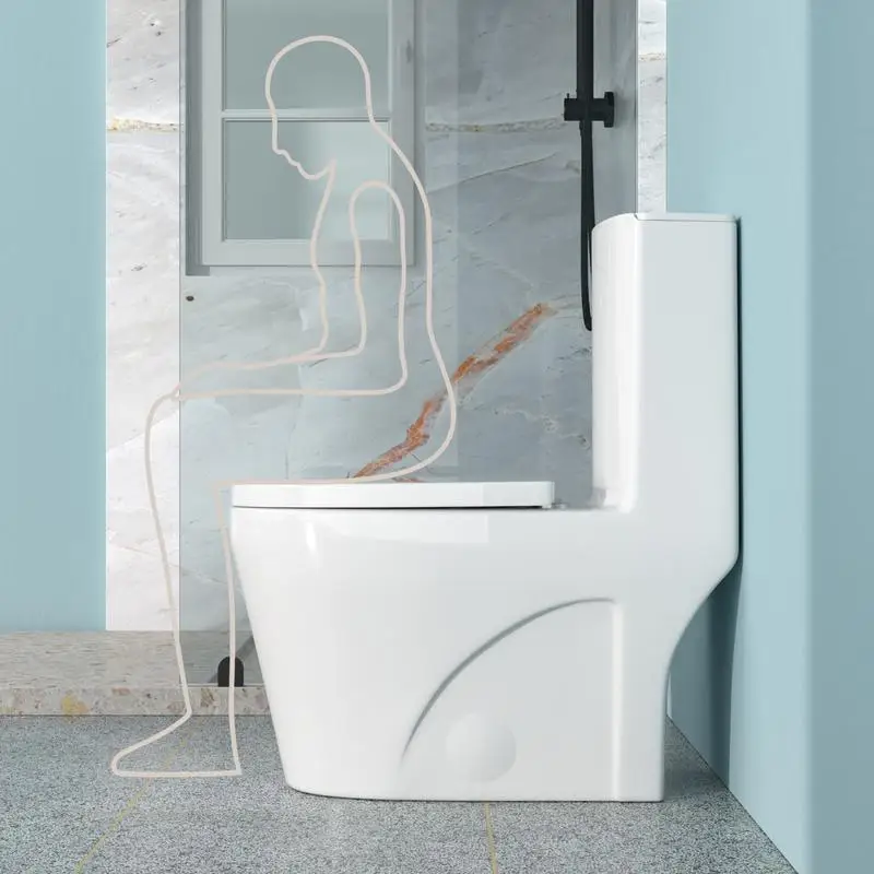 

One Piece Ceramic Toilet for Bathroom, 12-inch Rough-In, Dual Flush 1.1/1.6 GPF, Soft Closing Seat, Powerful Flush MAP 800g