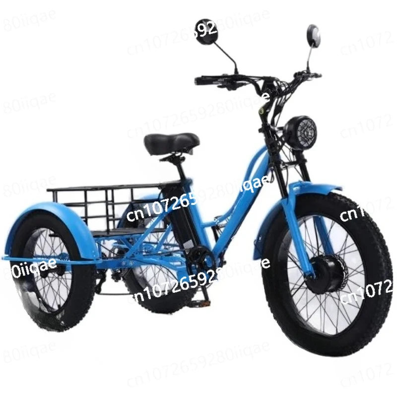 

24 Inch 3 Wheel Electric Bicycle Off Road 750w48v Passenger Electric Tricycle 2 Seat for Woman Man Mountain Bike
