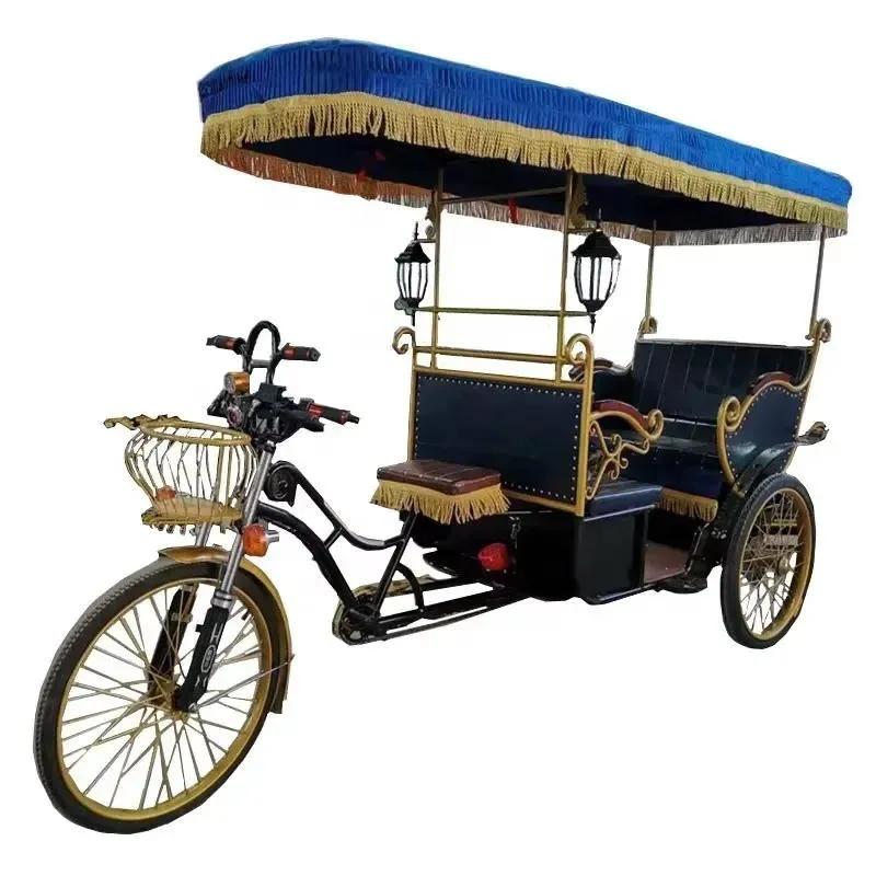 800W 1000W Electric Quad Bicycle 4 Passenger Single Speed 40-50km Range Travel E-Bike Spare Parts Special Price