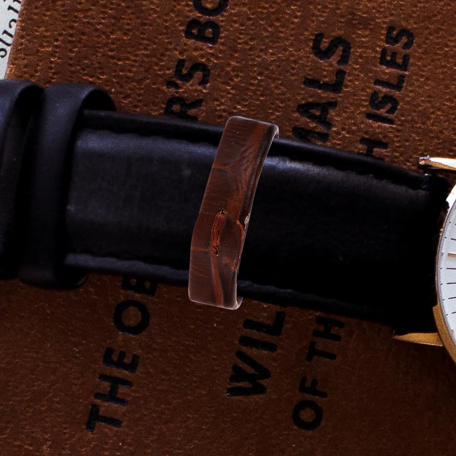 

10 Pcs Watch Band Bezel 20mm Brown Straps Loops Components Retainers Strap Loop Replacement Accessories