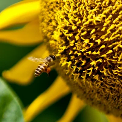 Para WLtoys 144001 124017 124016 124018 124019, actualización de piezas de repuesto de coche teledirigido neumáticos grandes neumáticos ensanchados