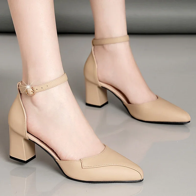 Elegant Women\'s High Heels New 2024 Spring Summer Versatile Ankle Strap Mules Pointed Toe Thick Heel Mary Jane Sandals