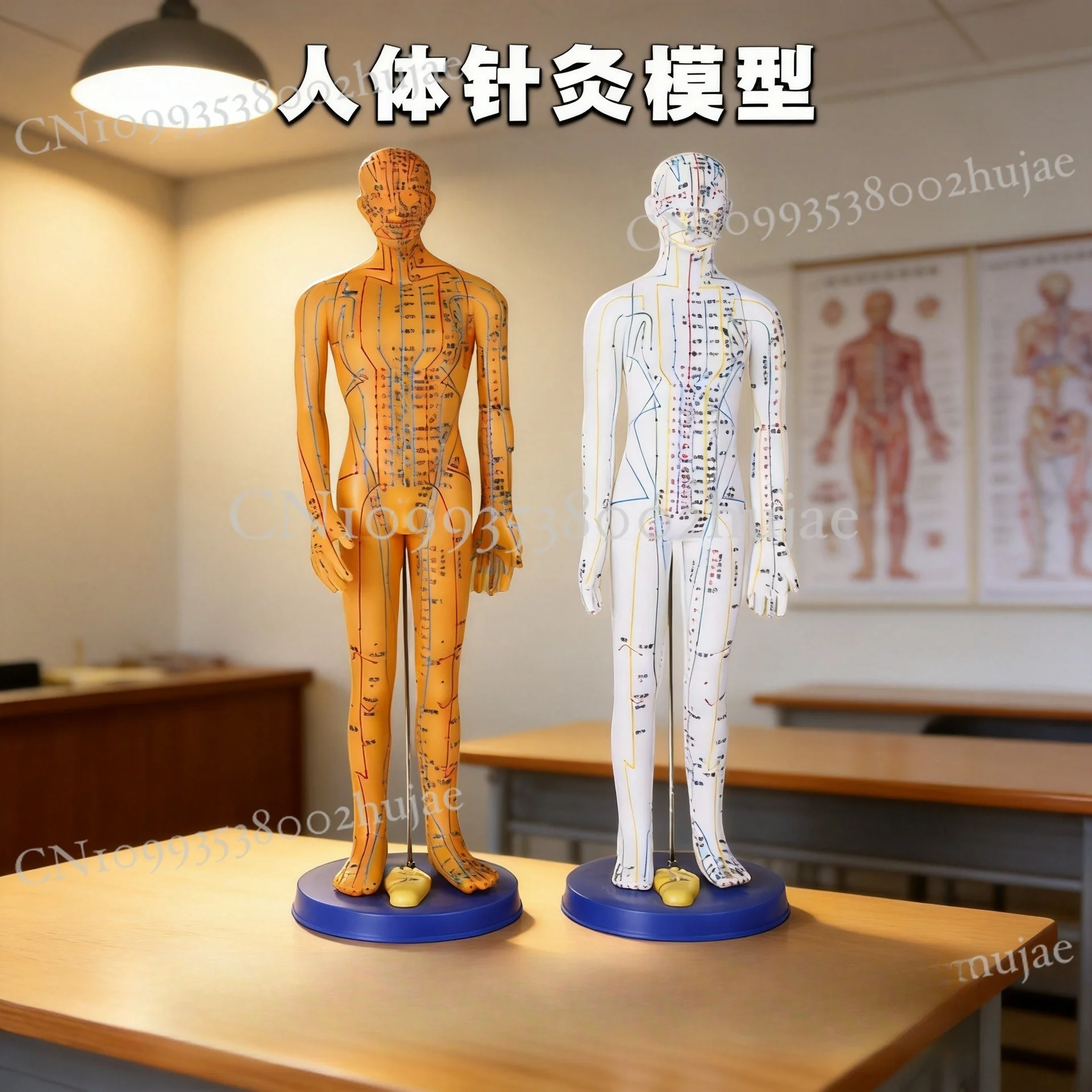 Human Acupuncture Model with Meridian Points Full Body Chinese Medicine Teaching Doll
