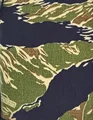 VTS