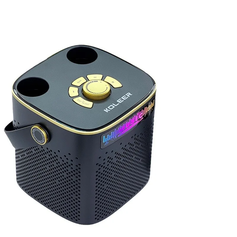 Portable Karaoke Bluetooth Speaker Stereo Surround High Power with Dual Wireless Microphone Outdoor Party Box Music Player P889