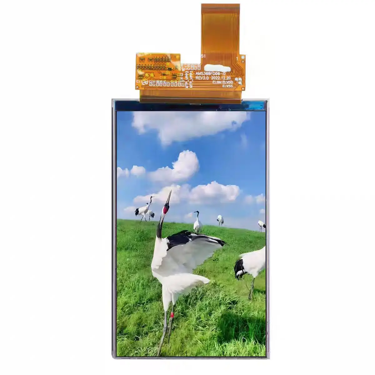 3.69'' inch for AMS369FG06-0 AMS369FG06 480*800 OLED LCD screen display panel COWON PD2/Plenue D2/P2