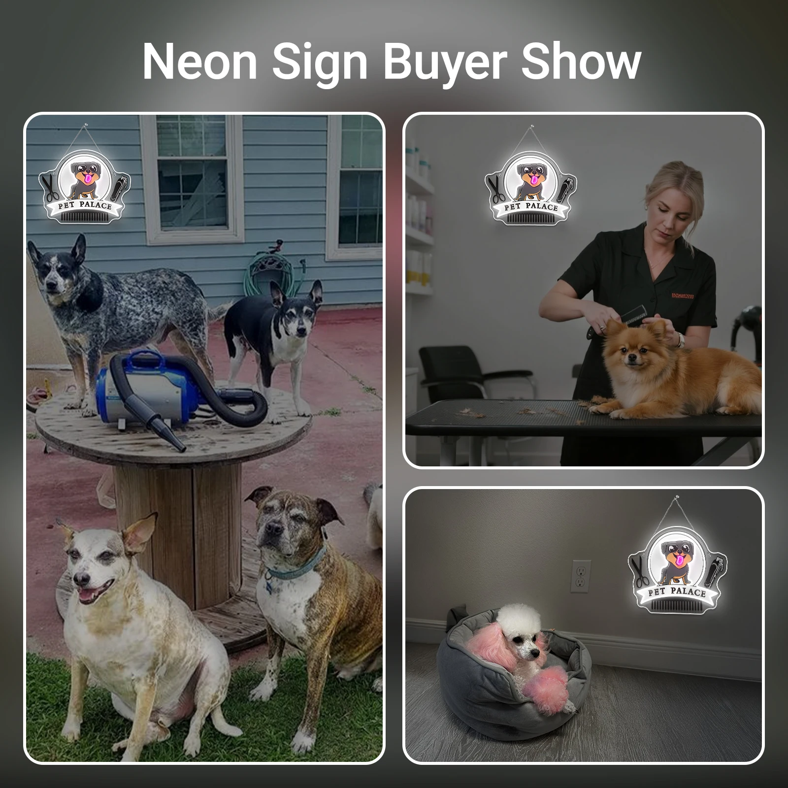 

Неоновая вывеска Pet Palace с питанием от USB, регулируемая яркость, настенный декор для ухода за домашними животными, стрижка волос, салон, клуб, светодиодный светильник для клиники с животными