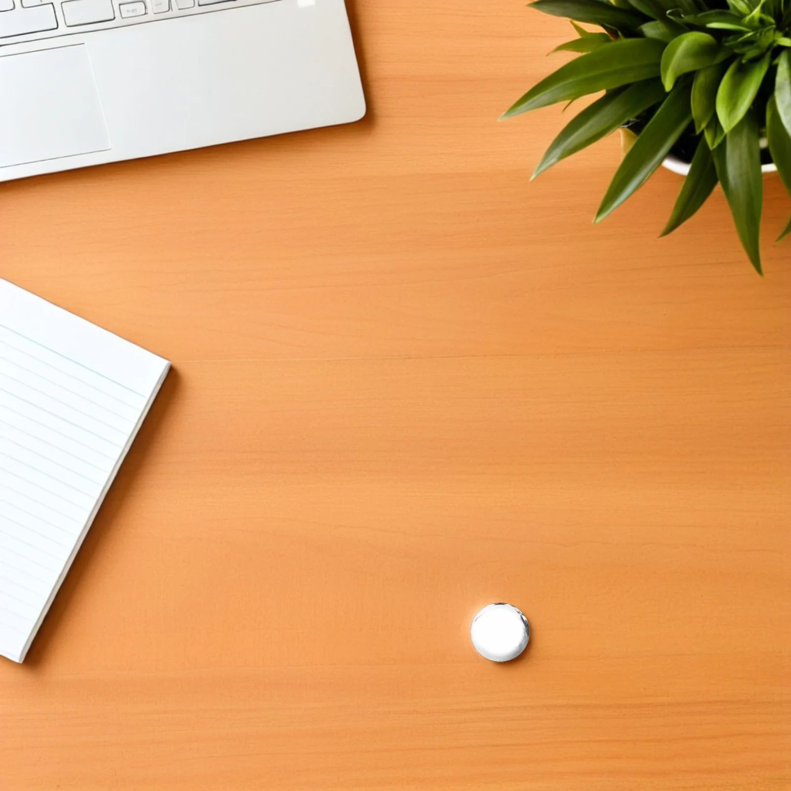 

19Mm Stainless Steel Solid Ball 1.0Mm Thick Mirror Polished Metal Decoration Sphere For Home Decor Pcs