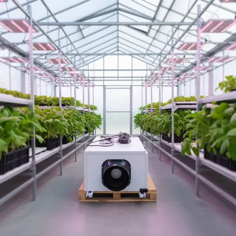 240V Plafondontvochtiger Kleine commerciële ontvochtiger Koelontvochtiger met digitaal display
