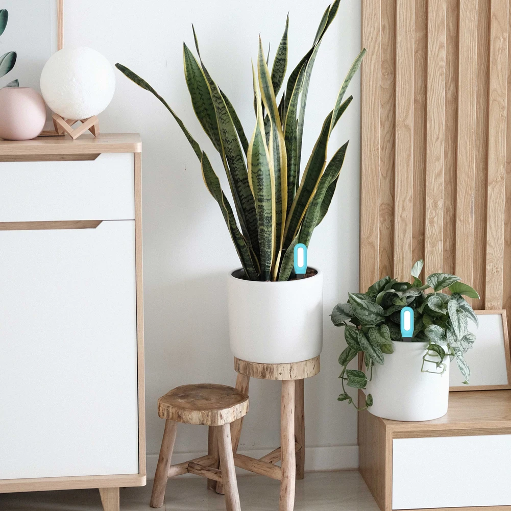 

Беспроводной тестер почвы 2 в 1, BT 4,1, измеритель температуры окружающей среды, приложение, интеллектуальный измерительный прибор для растений в помещении и на открытом воздухе